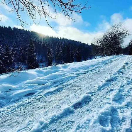 Apartman Sauerland *