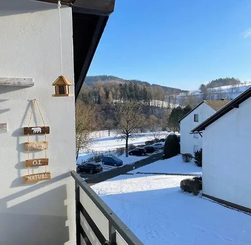 Sauerland 아파트 빌링겐