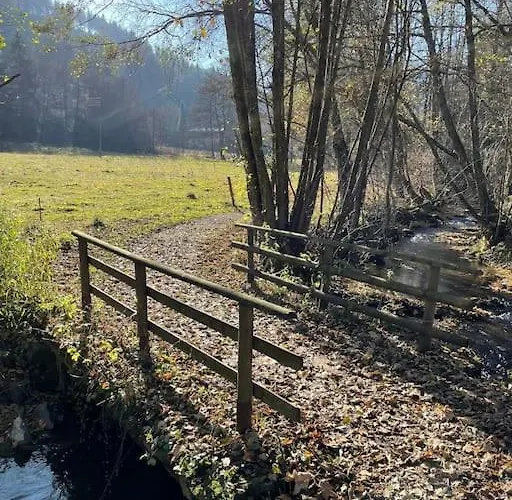 아파트 Sauerland 빌링겐