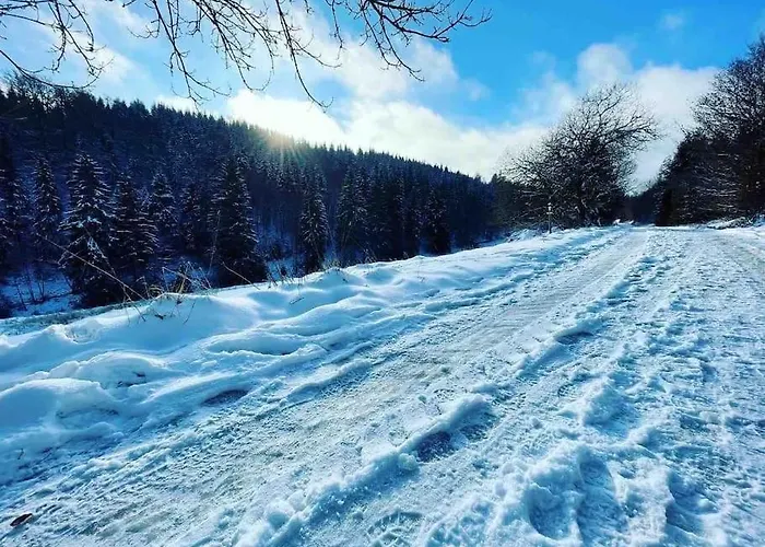 아파트 Sauerland *