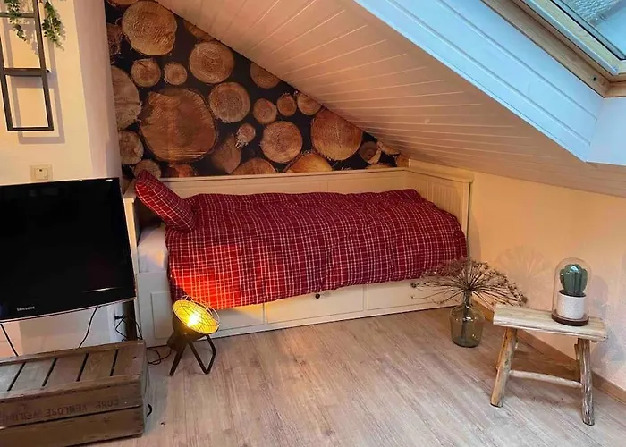 Sauerland 아파트 빌링겐