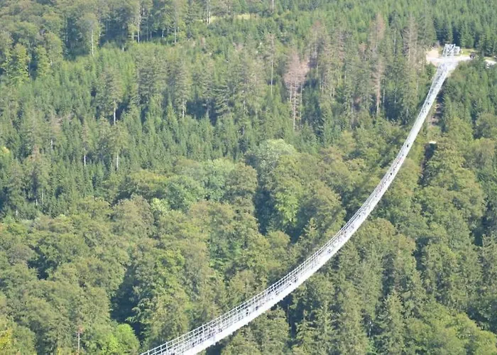 아파트 Sauerland 빌링겐