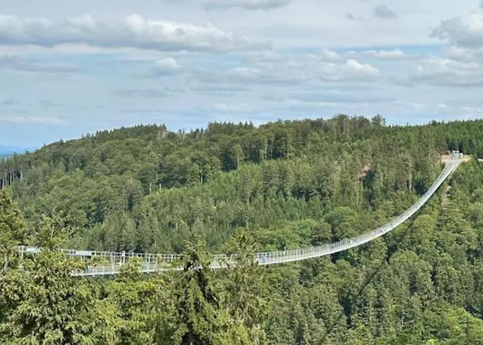 Sauerland 아파트 빌링겐